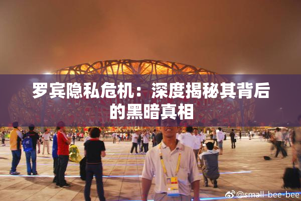 罗宾隐私危机：深度揭秘其背后的黑暗真相