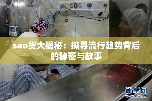 sao货大揭秘：探寻流行趋势背后的秘密与故事
