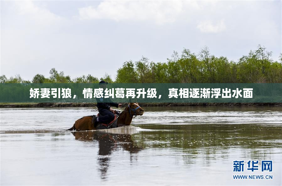 娇妻引狼，情感纠葛再升级，真相逐渐浮出水面