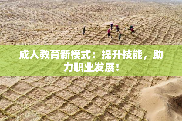 成人教育新模式：提升技能，助力职业发展！