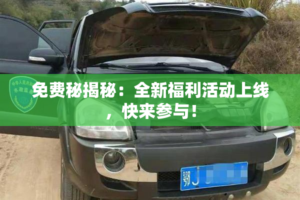 免费秘揭秘：全新福利活动上线，快来参与！
