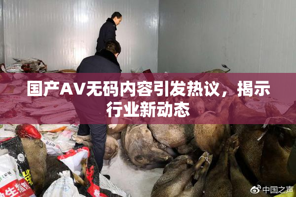 国产AV无码内容引发热议，揭示行业新动态