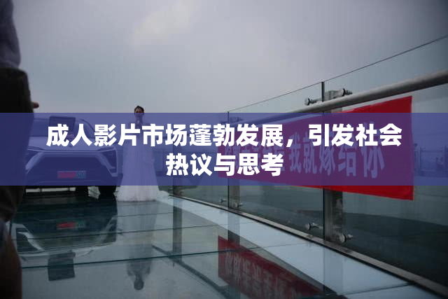 成人影片市场蓬勃发展，引发社会热议与思考