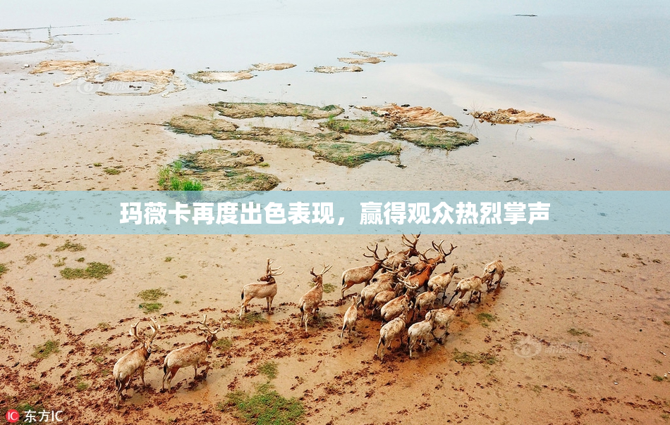 玛薇卡再度出色表现，赢得观众热烈掌声