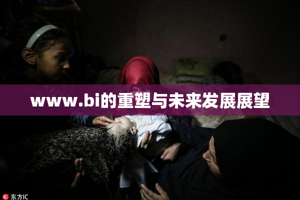 www.bi的重塑与未来发展展望