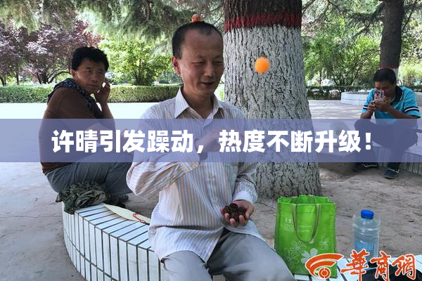 许晴引发躁动，热度不断升级！
