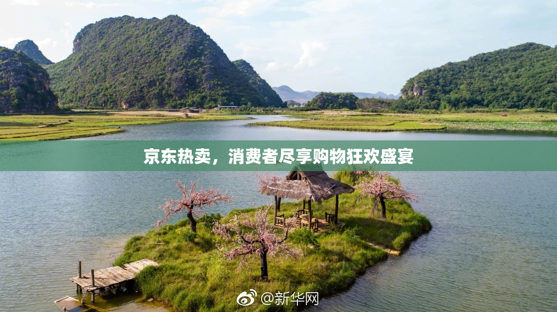 京东热卖，消费者尽享购物狂欢盛宴
