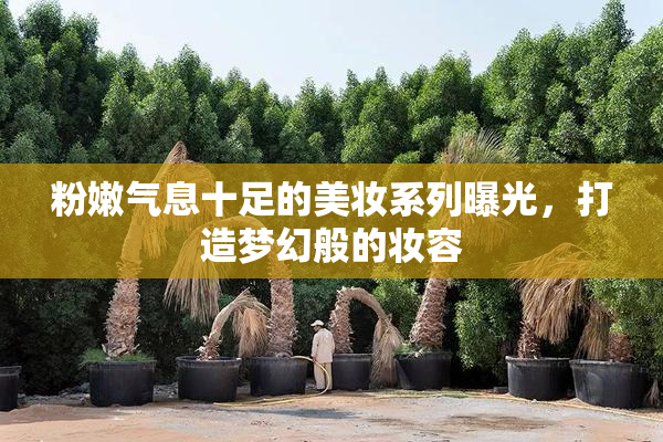 粉嫩气息十足的美妆系列曝光，打造梦幻般的妆容