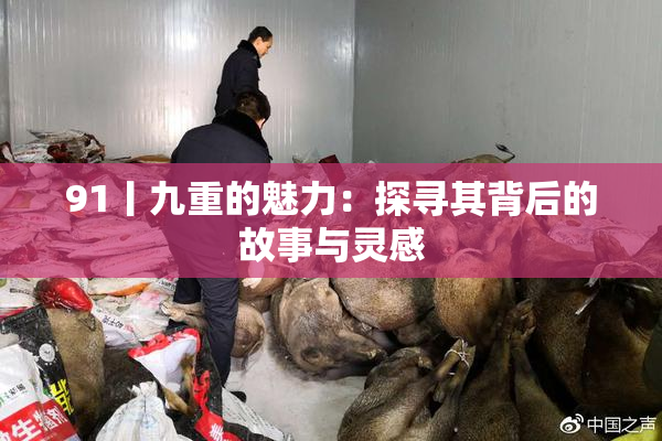 91丨九重的魅力：探寻其背后的故事与灵感