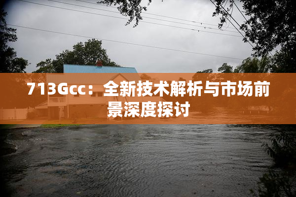 713Gcc：全新技术解析与市场前景深度探讨