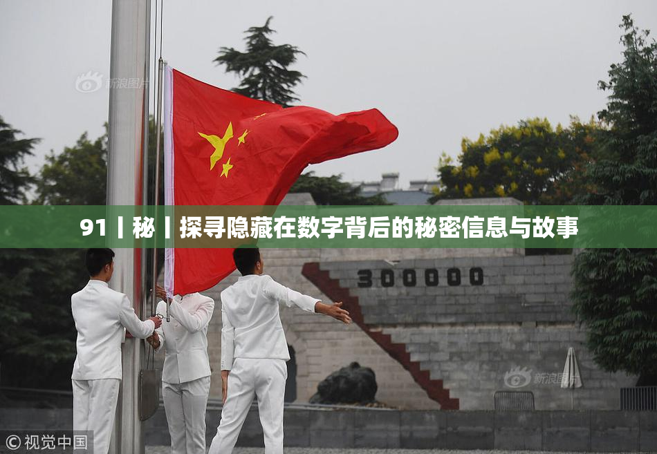 91丨秘丨探寻隐藏在数字背后的秘密信息与故事