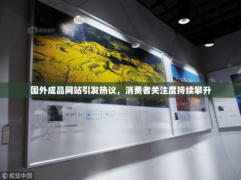 国外成品网站引发热议，消费者关注度持续攀升