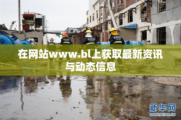 在网站www.bl上获取最新资讯与动态信息