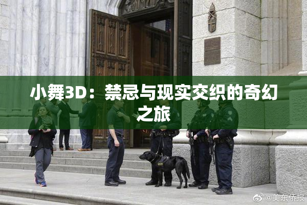 小舞3D：禁忌与现实交织的奇幻之旅