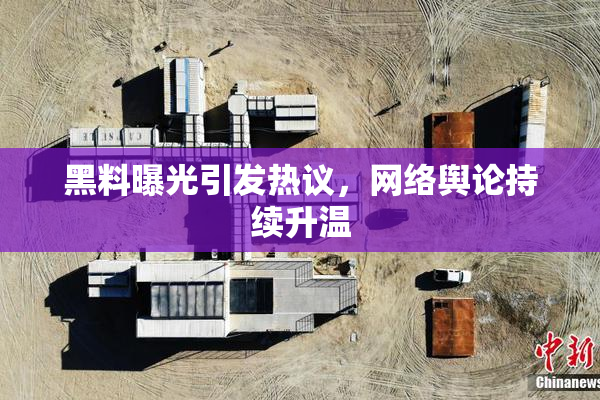 黑料曝光引发热议，网络舆论持续升温