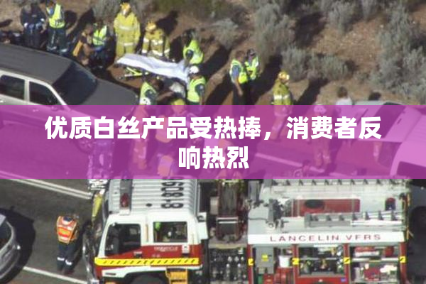 优质白丝产品受热捧，消费者反响热烈