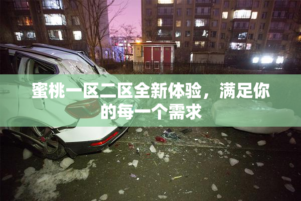 蜜桃一区二区全新体验，满足你的每一个需求