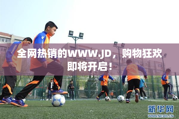 全网热销的WWW.JD，购物狂欢即将开启！