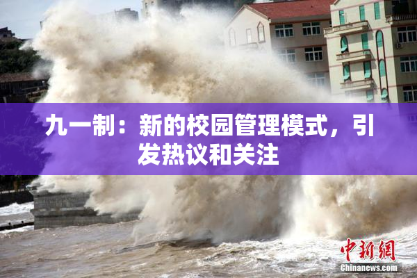 九一制：新的校园管理模式，引发热议和关注