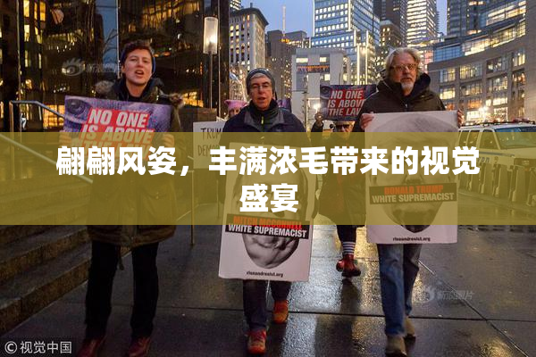翩翩风姿，丰满浓毛带来的视觉盛宴
