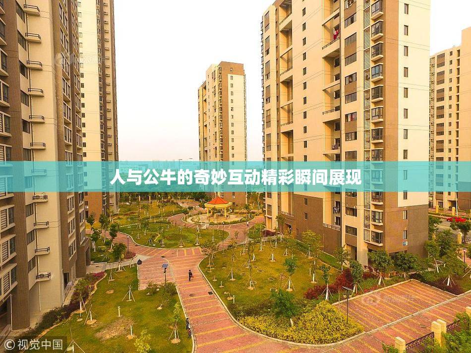 人与公牛的奇妙互动精彩瞬间展现