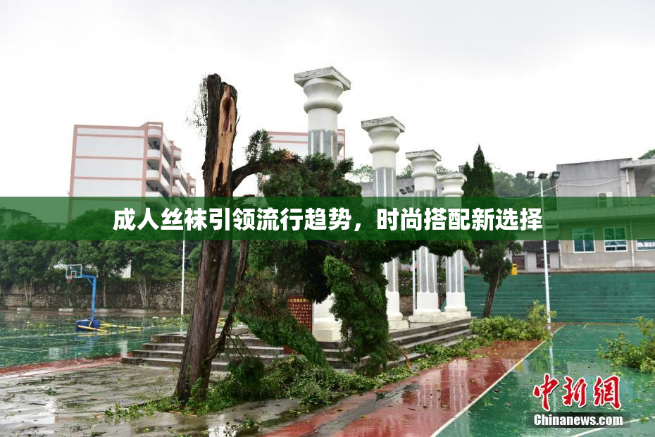 成人丝袜引领流行趋势，时尚搭配新选择