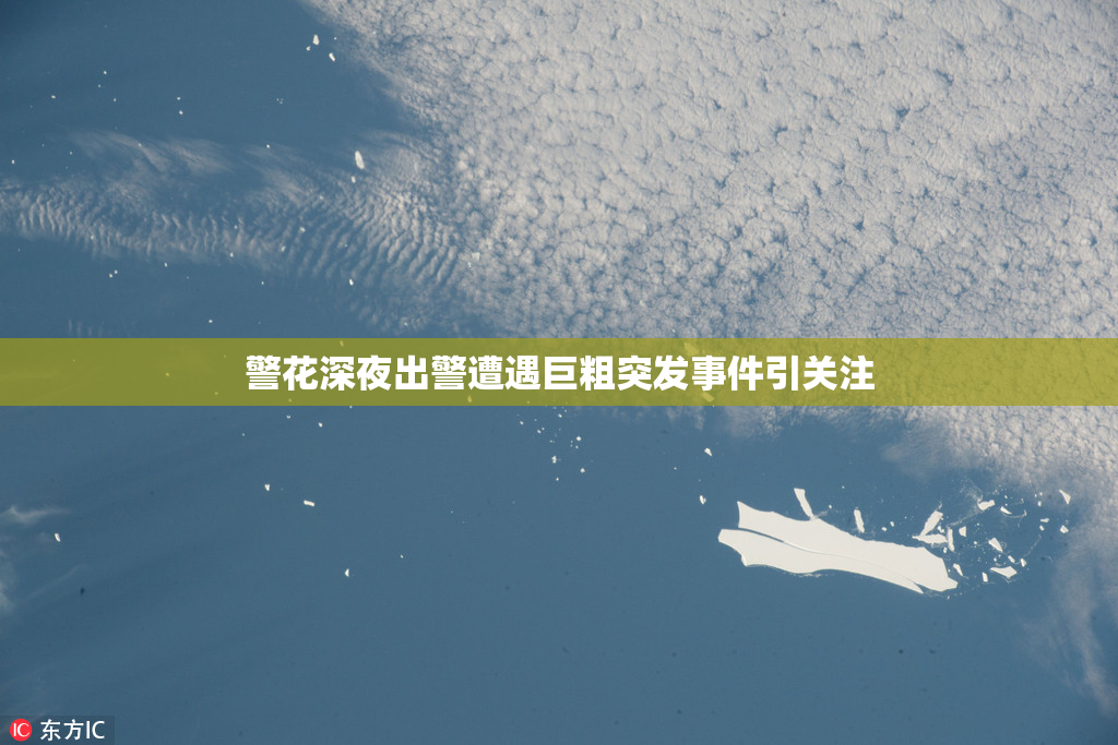 警花深夜出警遭遇巨粗突发事件引关注