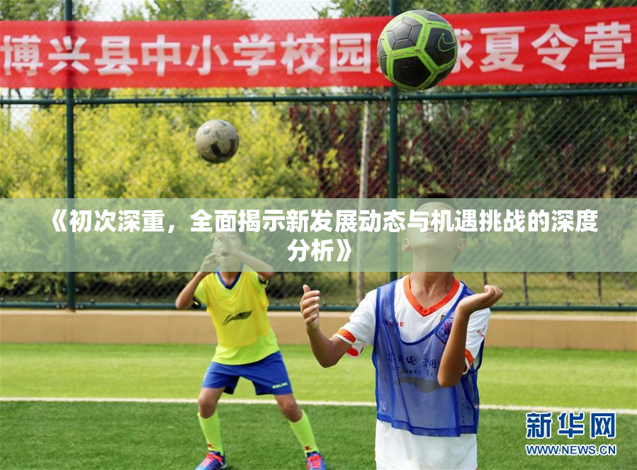 《初次深重，全面揭示新发展动态与机遇挑战的深度分析》