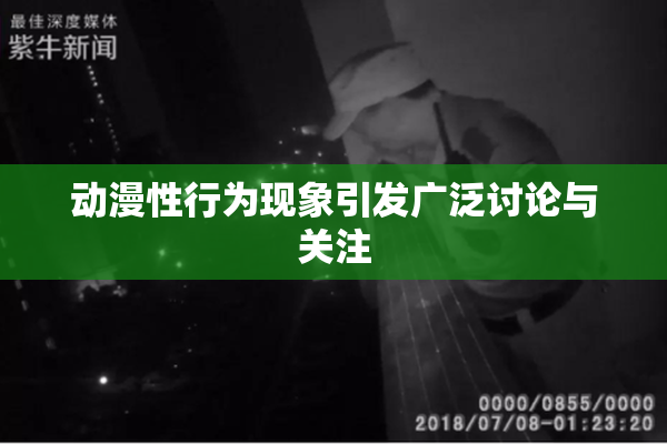 动漫性行为现象引发广泛讨论与关注