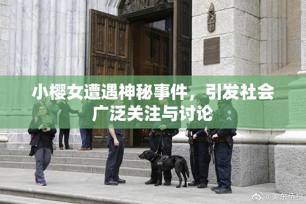 小樱女遭遇神秘事件，引发社会广泛关注与讨论