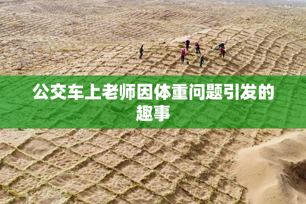 公交车上老师因体重问题引发的趣事