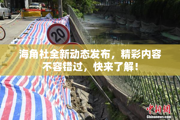 海角社全新动态发布，精彩内容不容错过，快来了解！