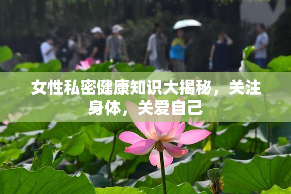 女性私密健康知识大揭秘，关注身体，关爱自己