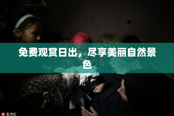 免费观赏日出，尽享美丽自然景色