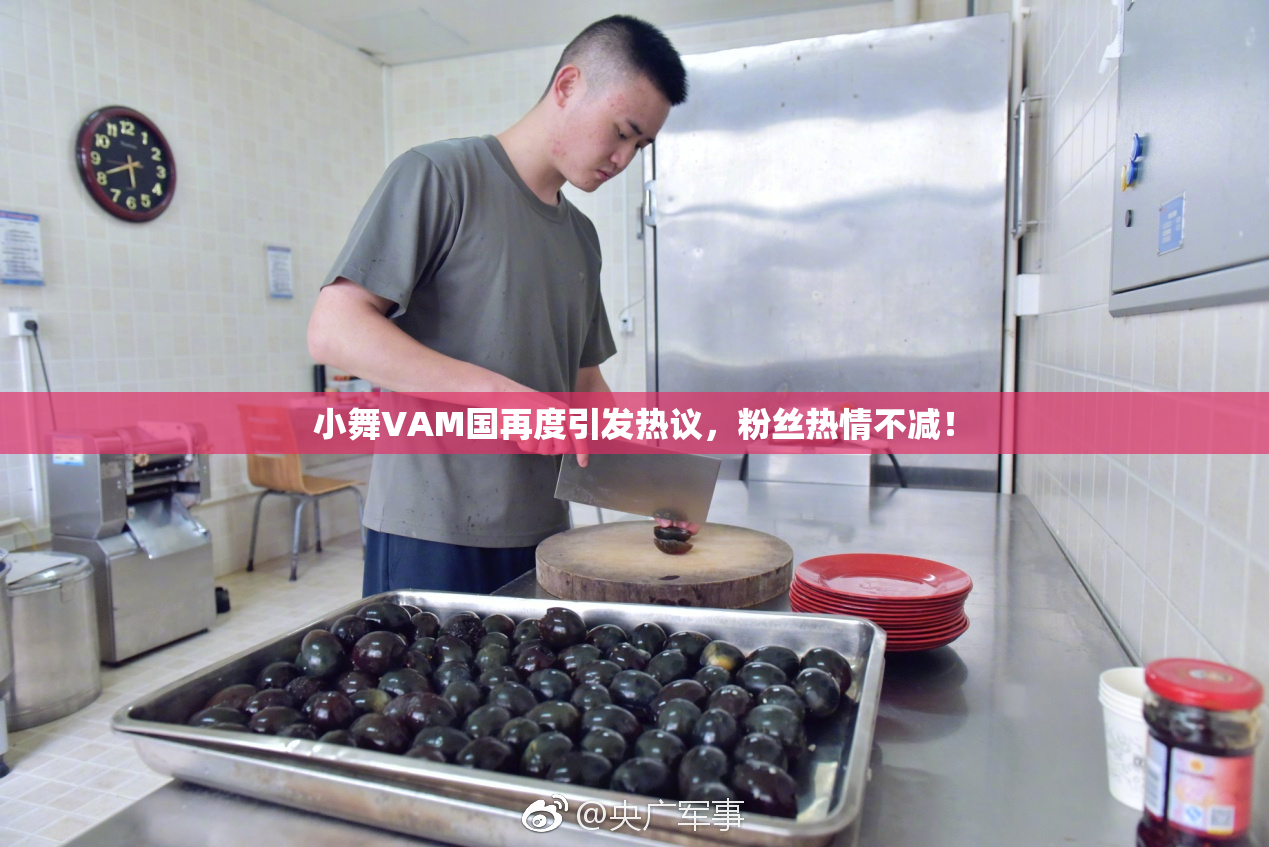 小舞VAM国再度引发热议，粉丝热情不减！
