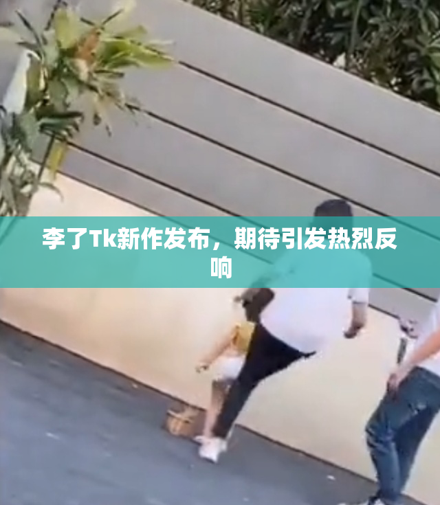 李了Tk新作发布，期待引发热烈反响