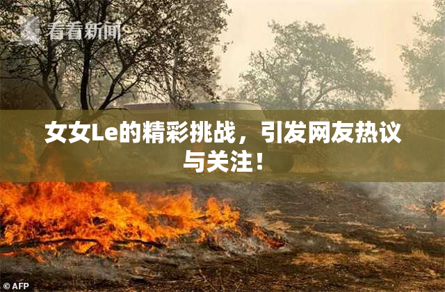 女女Le的精彩挑战，引发网友热议与关注！