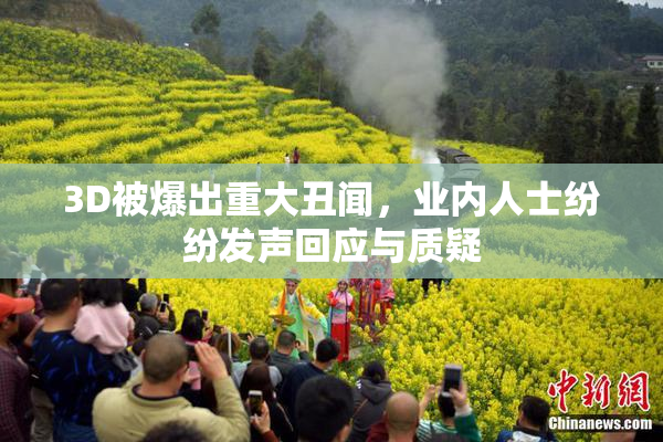 3D被爆出重大丑闻，业内人士纷纷发声回应与质疑