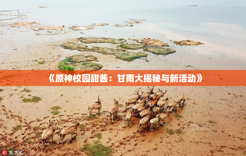《原神校园甜酱：甘雨大揭秘与新活动》