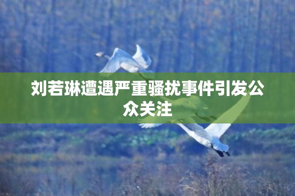 刘若琳遭遇严重骚扰事件引发公众关注