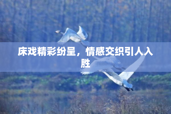 床戏精彩纷呈，情感交织引人入胜