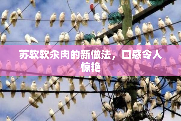 苏软软汆肉的新做法，口感令人惊艳