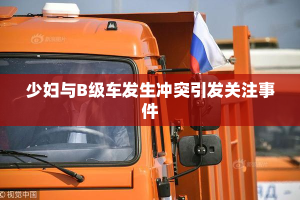 少妇与B级车发生冲突引发关注事件
