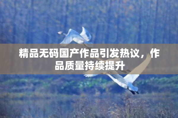 精品无码国产作品引发热议，作品质量持续提升