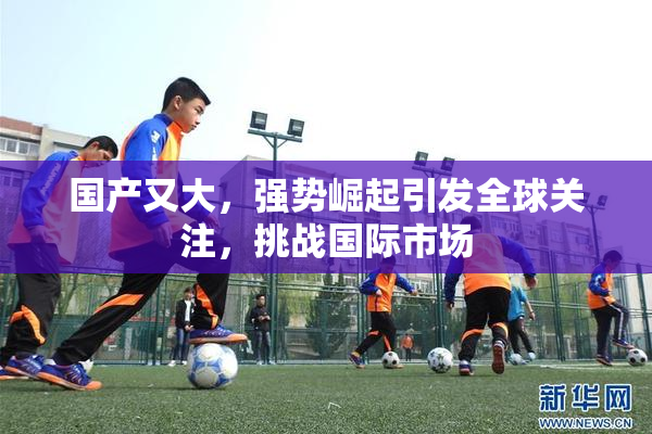 国产又大，强势崛起引发全球关注，挑战国际市场