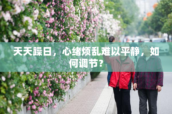 天天躁日，心绪烦乱难以平静，如何调节？