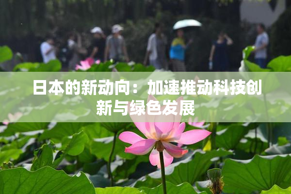 日本的新动向：加速推动科技创新与绿色发展