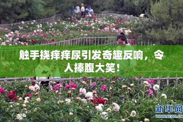 触手挠痒痒尿引发奇趣反响，令人捧腹大笑！