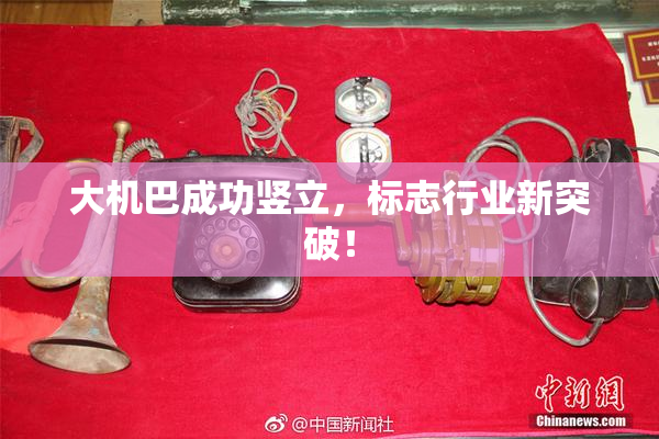 大机巴成功竖立，标志行业新突破！