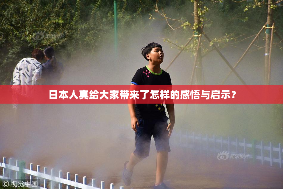 日本人真给大家带来了怎样的感悟与启示？